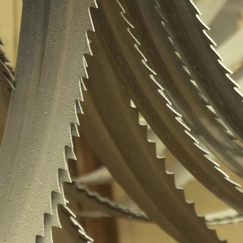 Lame Scie Ruban 6 Z 1335x13x0.65 Mm FEMI ABS105 783XL 782XL 780XL - 3289949 4 Lame Scie Ruban 6 Z 1335x13x0.65 Mm FEMI ABS105 783XL 782XL 780XL - 3289949 – Image 2